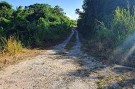 Residential Lot for Sale in Runaway Bay