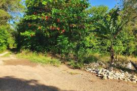 Residential Lot for Sale in Runaway Bay