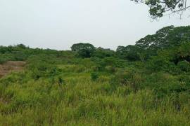 Residential Lot for Sale in Falmouth