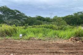 Residential Lot for Sale in Falmouth