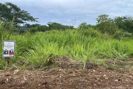 Residential Lot for Sale in Falmouth