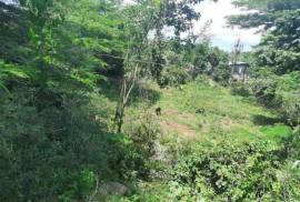 Residential Lot for Sale in White House WD