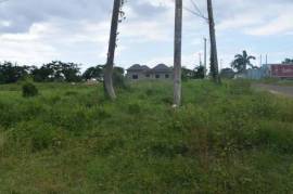 Residential Lot for Sale in Lucea