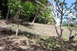 Residential Lot for Sale in Frankfield