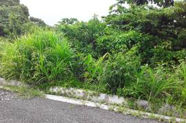 Residential Lot for Sale in Hopewell