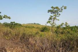 Residential Lot for Sale in Walkerswood