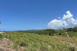 Residential Lot for Sale in Falmouth