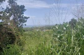 Residential Lot for Sale in Runaway Bay