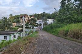 Residential Lot for Sale in Anchovy