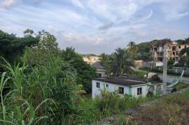 Residential Lot for Sale in Anchovy