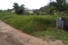 Residential Lot for Sale in Mandeville