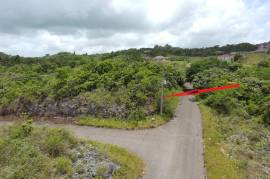 Residential Lot for Sale in Knockpatrick