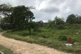 Residential Lot for Sale in Boscobel