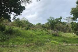 Residential Lot for Sale in Boscobel