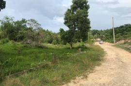 Residential Lot for Sale in Boscobel