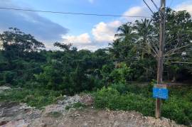 Residential Lot for Sale in Montego Bay