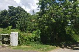 Residential Lot for Sale in Mandeville