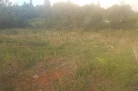 Residential Lot for Sale in Spur Tree