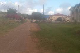 Residential Lot for Sale in Spur Tree