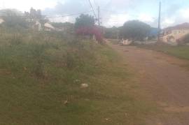 Residential Lot for Sale in Spur Tree