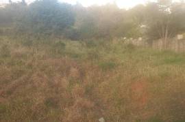 Residential Lot for Sale in Spur Tree