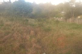 Residential Lot for Sale in Spur Tree