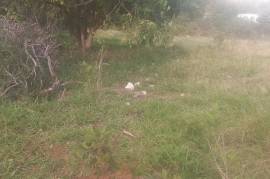 Residential Lot for Sale in Spur Tree