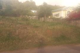 Residential Lot for Sale in Spur Tree