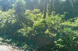 Residential Lot for Sale in Dias