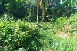 Residential Lot for Sale in Dias