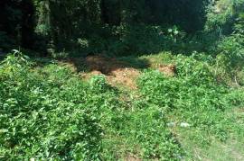 Residential Lot for Sale in Dias