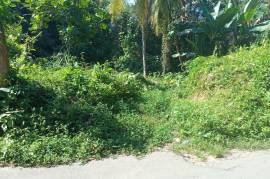 Residential Lot for Sale in Dias