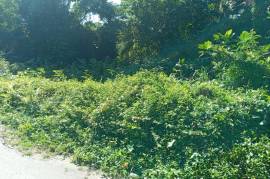 Residential Lot for Sale in Dias