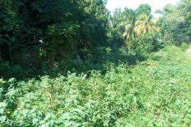 Residential Lot for Sale in Dias