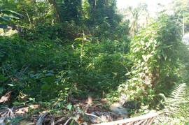 Residential Lot for Sale in Dias