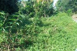 Residential Lot for Sale in Dias