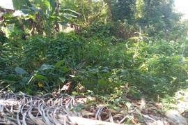 Residential Lot for Sale in Dias