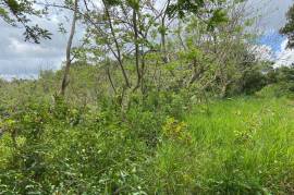 Residential Lot for Sale in Mandeville