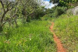 Residential Lot for Sale in Mandeville