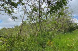 Residential Lot for Sale in Mandeville