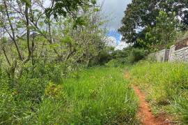 Residential Lot for Sale in Mandeville