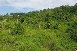 Residential Lot for Sale in Bog Walk