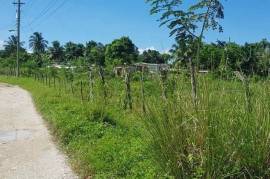 Residential Lot for Sale in Bog Walk