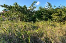 Residential Lot for Sale in Montego Bay