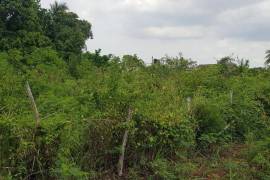 Residential Lot for Sale in Spanish Town