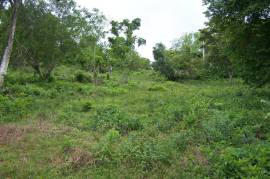 Residential Lot for Sale in Ocho Rios