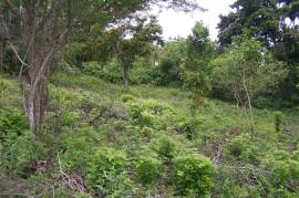 Residential Lot for Sale in Ocho Rios