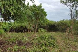 Residential Lot for Sale in Falmouth