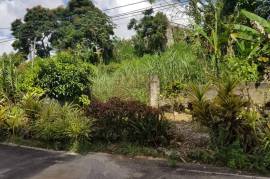 Residential Lot for Sale in Mandeville