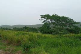 Residential Lot for Sale in Falmouth